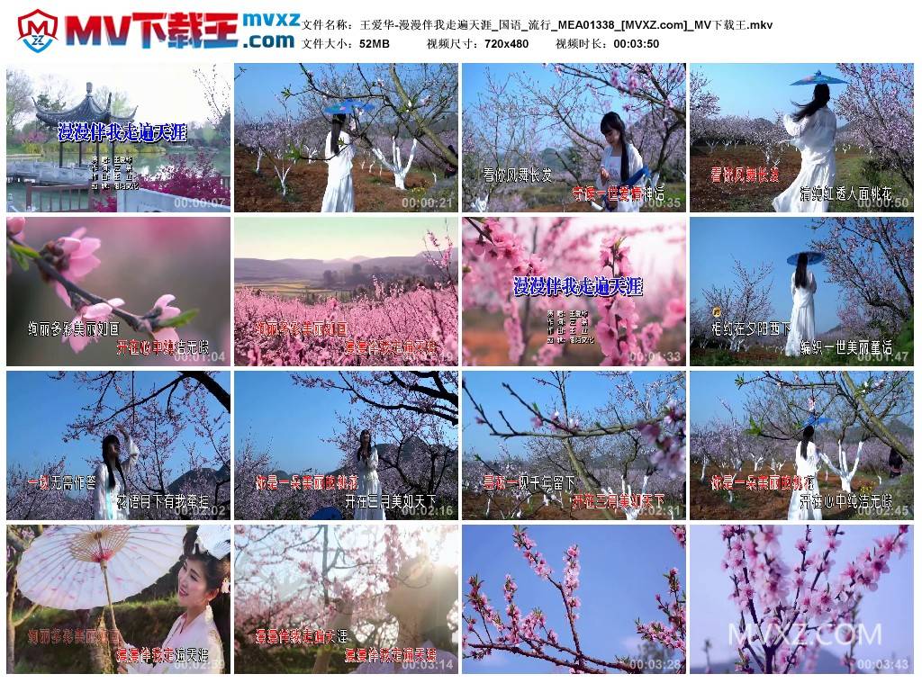 王爱华-漫漫伴我走遍天涯_国语_流行_MEA01338